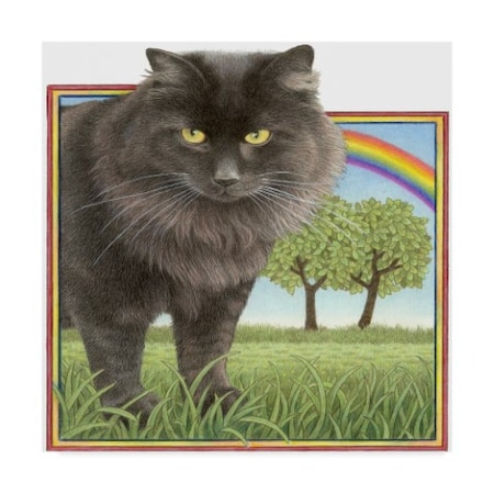 Francien Van Westering 'Black Cat And Rainbow' Canvas Art,18x18